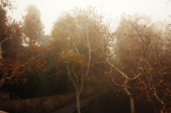 Autumn Mists No. 5