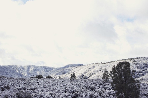 Snow-Frosted Hills