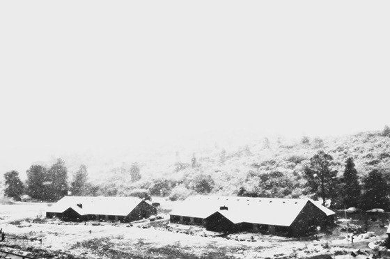 Snow Laden Cabins