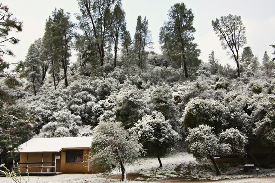 Winter Cabin