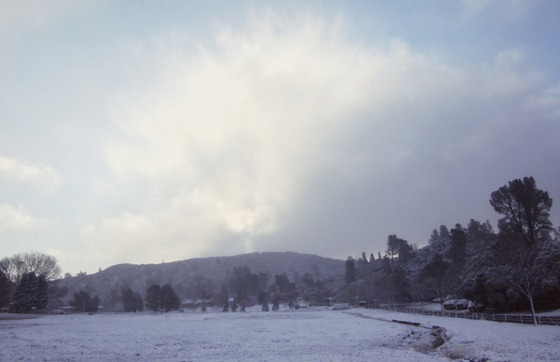 Wintry Morning