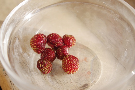 Mini Strawberries